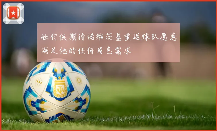 独行侠期待诺维茨基重返球队愿意满足他的任何角色需求